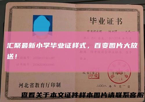 汇聚最新小学毕业证样式,百变图片大放送!