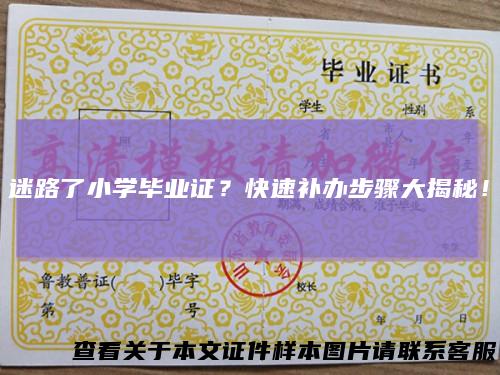 迷路了小学毕业证？快速补办步骤大揭秘！