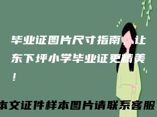 毕业证图片尺寸指南,让东下坪小学毕业证更精美!
