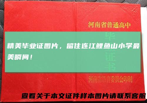 精美毕业证图片,留住连江鲤鱼山小学最美瞬间!