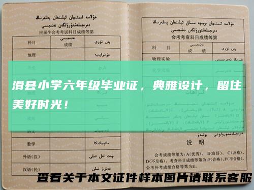 滑县小学六年级毕业证,典雅设计,留住美好时光!