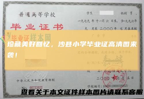 珍藏美好回忆,沙县小学毕业证高清图来袭!