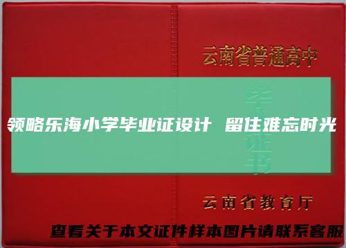 领略乐海小学毕业证设计留住难忘时光
