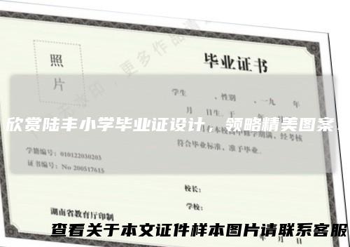 欣赏陆丰小学毕业证设计,领略精美图案!