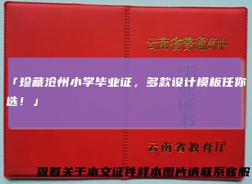 「珍藏沧州小学毕业证，多款设计模板任你选！」