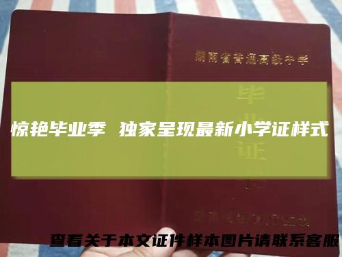 惊艳毕业季独家呈现最新小学证样式