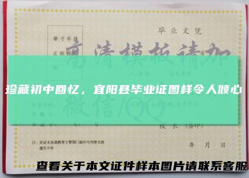 珍藏初中回忆，宜阳县毕业证图样令人倾心