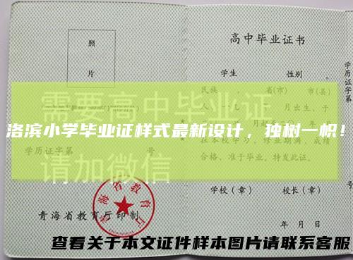洛滨小学毕业证样式最新设计，独树一帜！