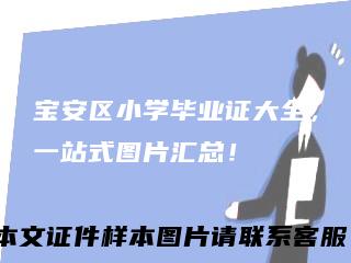 宝安区小学毕业证大全,一站式图片汇总!