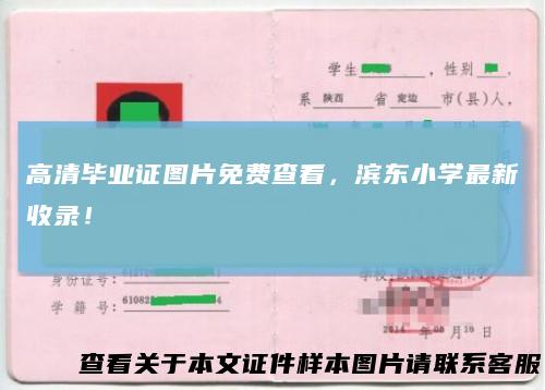 高清毕业证图片免费查看,滨东小学最新收录!