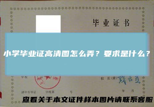 小学毕业证高清图怎么弄?要求是什么?