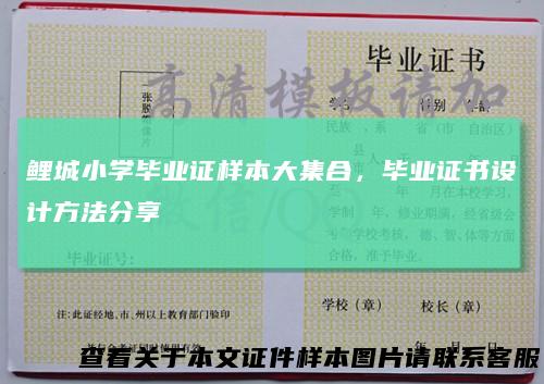 鲤城小学毕业证样本大集合,毕业证书设计方法分享