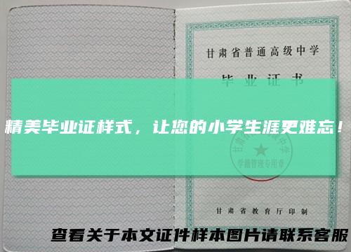 精美毕业证样式,让您的小学生涯更难忘!