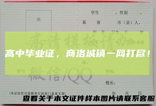 高中毕业证,商洛城镇一网打尽!
