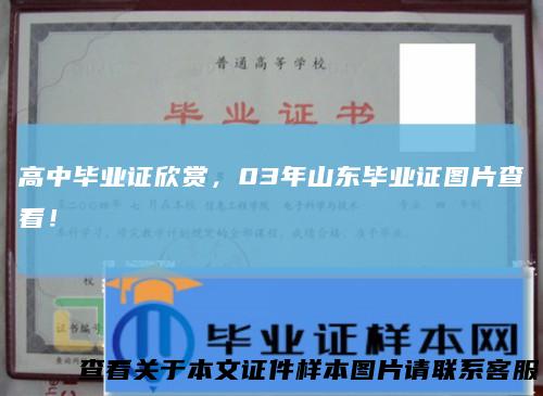 高中毕业证欣赏，03年山东毕业证图片查看！