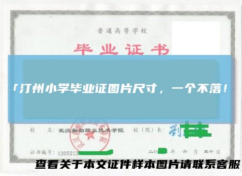 「汀州小学毕业证图片尺寸,一个不落!」