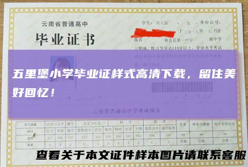 五里堡小学毕业证样式高清下载，留住美好回忆！