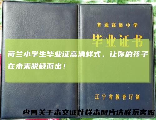 荷兰小学生毕业证高清样式,让你的孩子在未来脱颖而出!