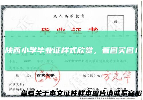 陕西小学毕业证样式欣赏,看图买图!