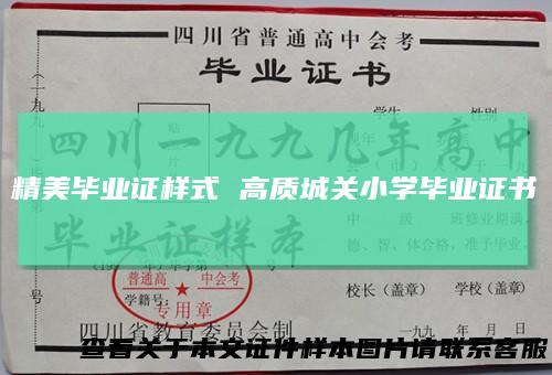 精美毕业证样式高质城关小学毕业证书