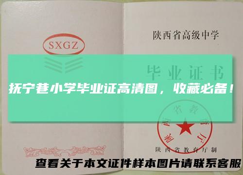 抚宁巷小学毕业证高清图,收藏必备!