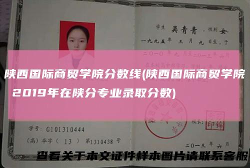 陕西国际商贸学院分数线(陕西国际商贸学院2019年在陕分专业录取分数)