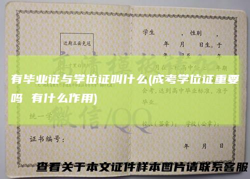 有毕业证与学位证叫什么(成考学位证重要吗有什么作用)