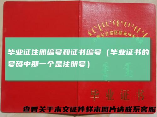 毕业证注册编号和证书编号(毕业证书的号码中那一个是注册号)