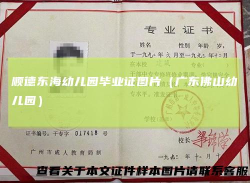 顺德东海幼儿园毕业证图片(广东佛山幼儿园)