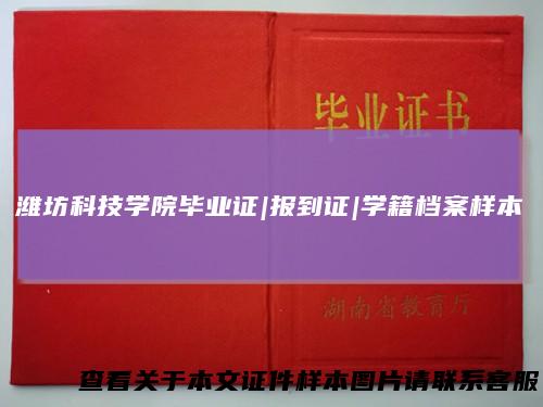 潍坊科技学院毕业证|报到证|学籍档案样本