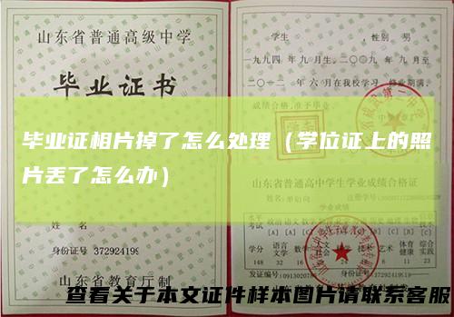 毕业证相片掉了怎么处理（学位证上的照片丢了怎么办）
