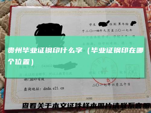 贵州毕业证钢印什么字(毕业证钢印在哪个位置)