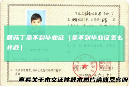 蘑菇丁拿不到毕业证（拿不到毕业证怎么补救）