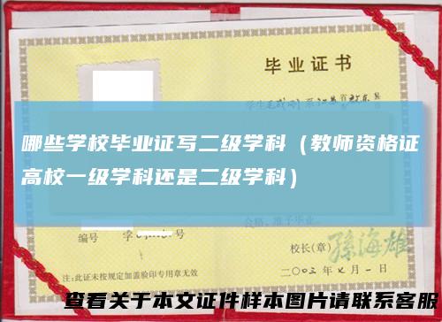 哪些学校毕业证写二级学科(教师资格证高校一级学科还是二级学科)