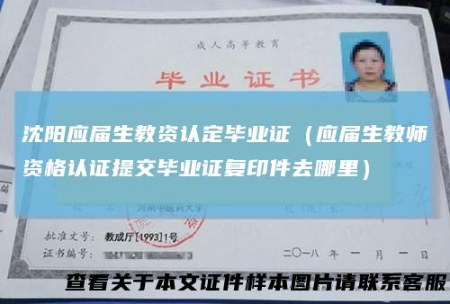 沈阳应届生教资认定毕业证(应届生教师资格认证提交毕业证复印件去哪里)