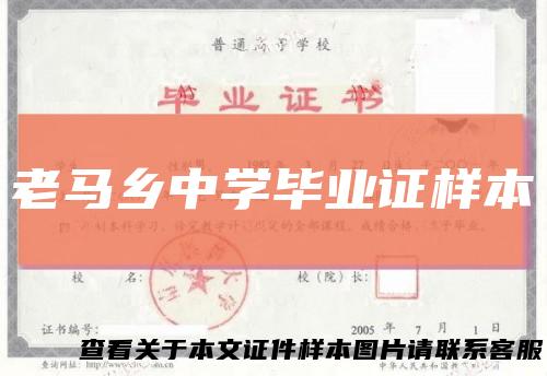 老马乡中学毕业证样本