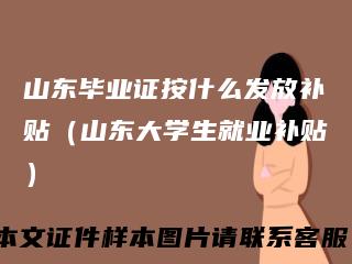 山东毕业证按什么发放补贴(山东大学生就业补贴)