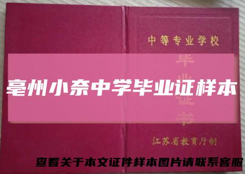 亳州小奈中学毕业证样本