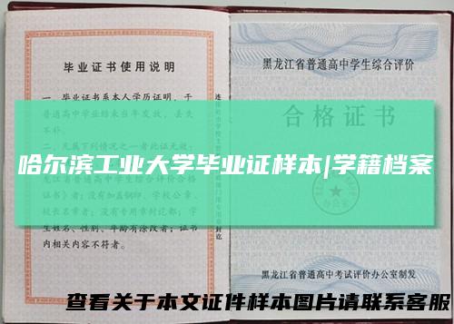 哈尔滨工业大学毕业证样本|学籍档案