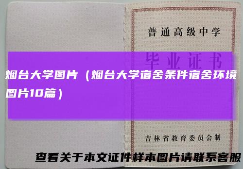 烟台大学图片（烟台大学宿舍条件宿舍环境图片10篇）