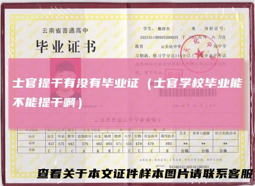 士官提干有没有毕业证(士官学校毕业能不能提干啊)