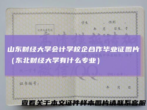 山东财经大学会计学校企合作毕业证图片（东北财经大学有什么专业）