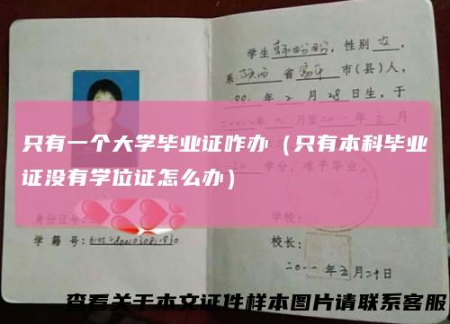 只有一个大学毕业证咋办(只有本科毕业证没有学位证怎么办)