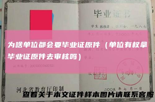 为啥单位都会要毕业证原件(单位有权拿毕业证原件去审核吗)