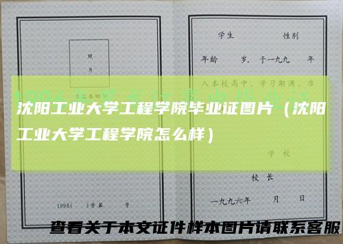 沈阳工业大学工程学院毕业证图片（沈阳工业大学工程学院怎么样）