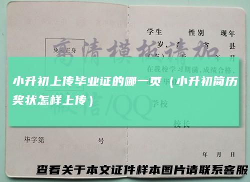 小升初上传毕业证的哪一页(小升初简历奖状怎样上传)