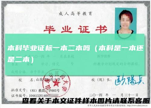 本科毕业证标一本二本吗(本科是一本还是二本)