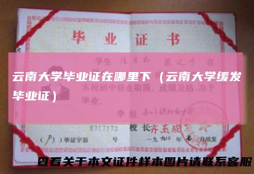 云南大学毕业证在哪里下（云南大学缓发毕业证）