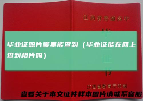 毕业证照片哪里能查到(毕业证能在网上查到相片吗)