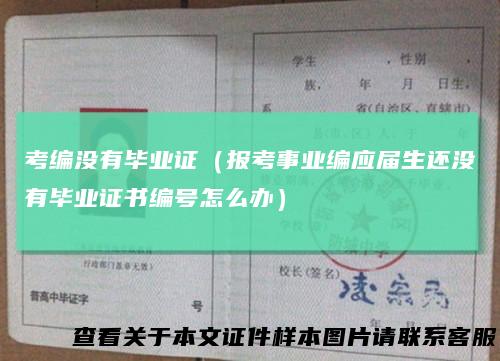 考编没有毕业证(报考事业编应届生还没有毕业证书编号怎么办)
